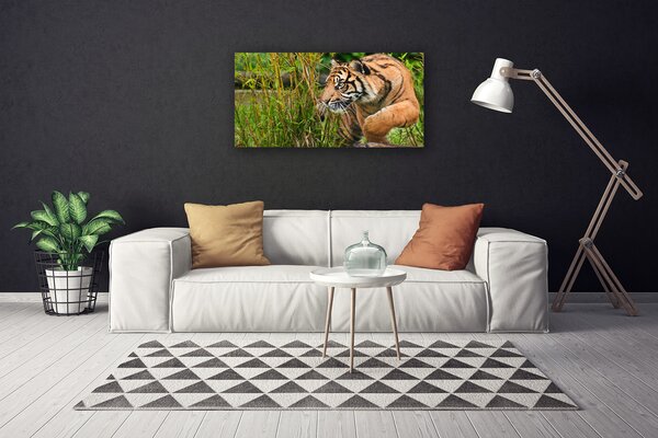 Obraz Canvas Tiger zvieratá 100x50 cm