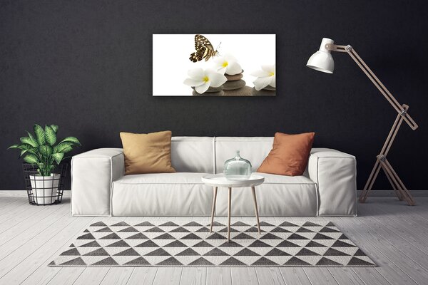 Obraz Canvas Motýľ kvet kamene rastlina 100x50 cm