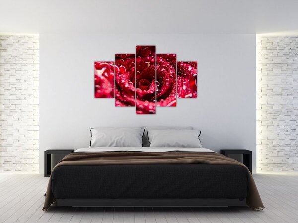 Obraz kvetu červenej ruže (150x105 cm)