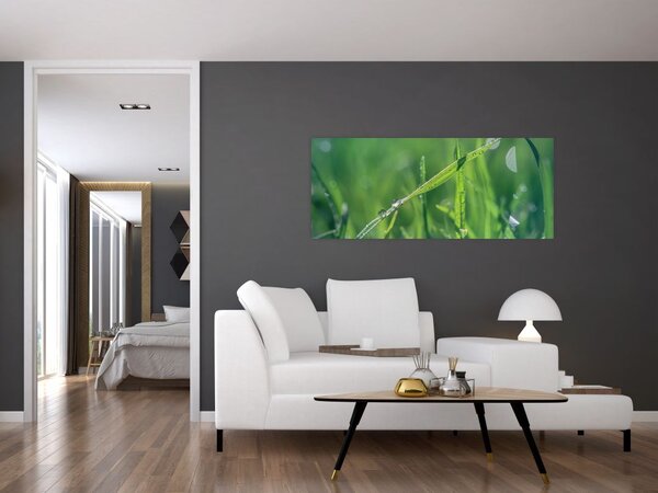 Obraz kvapiek rosy (120x50 cm)