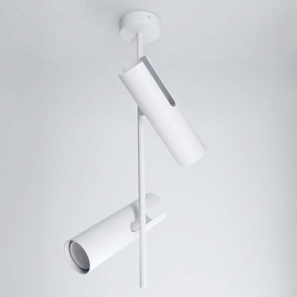 Brilagi - LED RGBW stmievateľný luster na tyči BRANCH 2xGU10/6,5W/230V biela