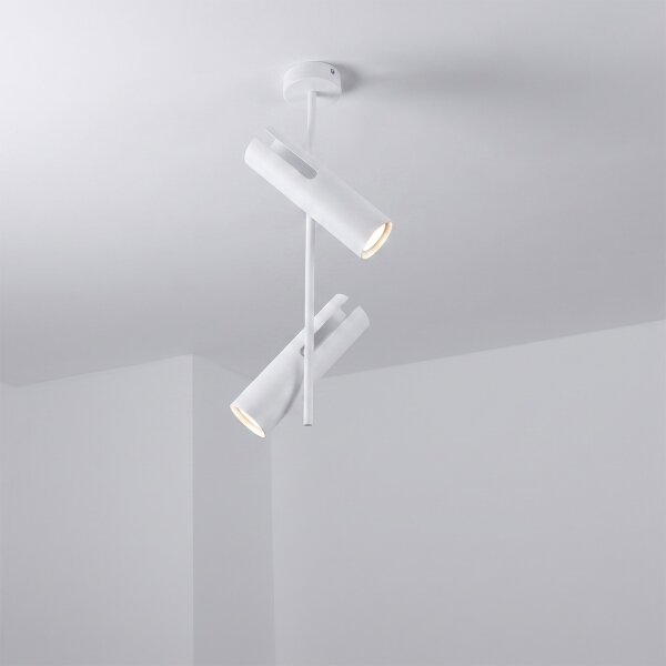 Brilagi - LED RGBW stmievateľný luster na tyči BRANCH 2xGU10/6,5W/230V biela