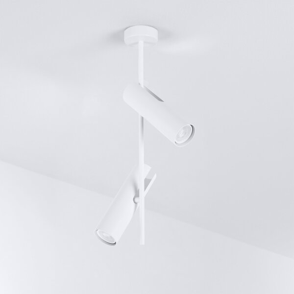 Brilagi - LED RGBW stmievateľný luster na tyči BRANCH 2xGU10/6,5W/230V biela