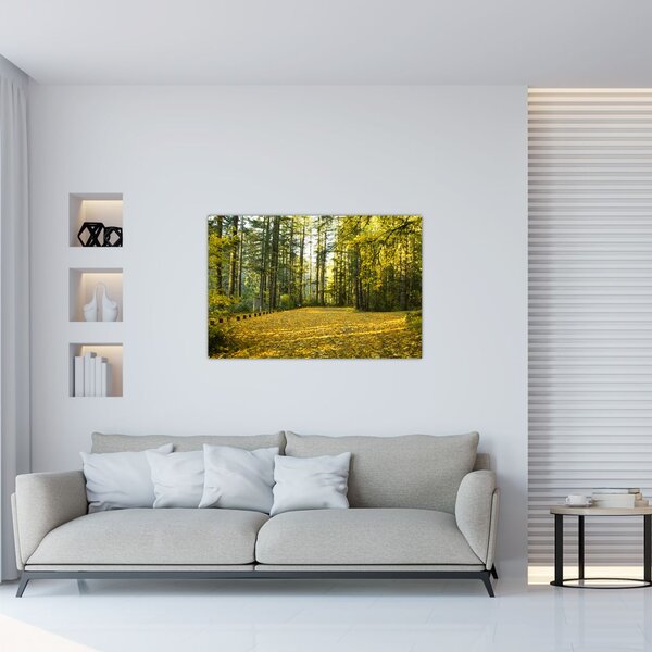Obraz - les v jeseni (90x60 cm)