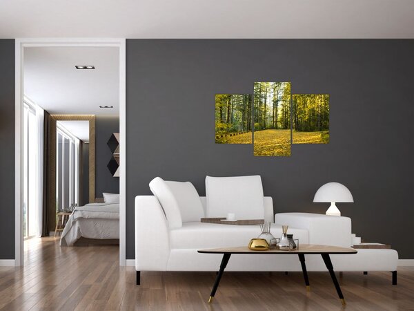 Obraz - les v jeseni (90x60 cm)