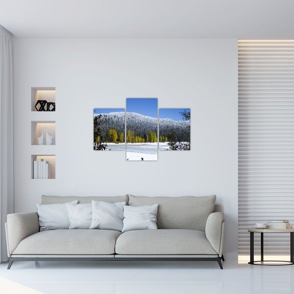Obraz - zasnežené hory v zime (90x60 cm)