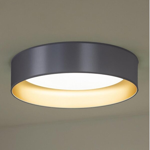 Duolla - LED Stropné svietidlo ROLLER LED/24W/230V pr. 45 cm strieborná/zlatá