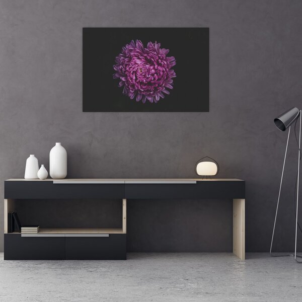 Obraz fialovej kvetiny (90x60 cm)