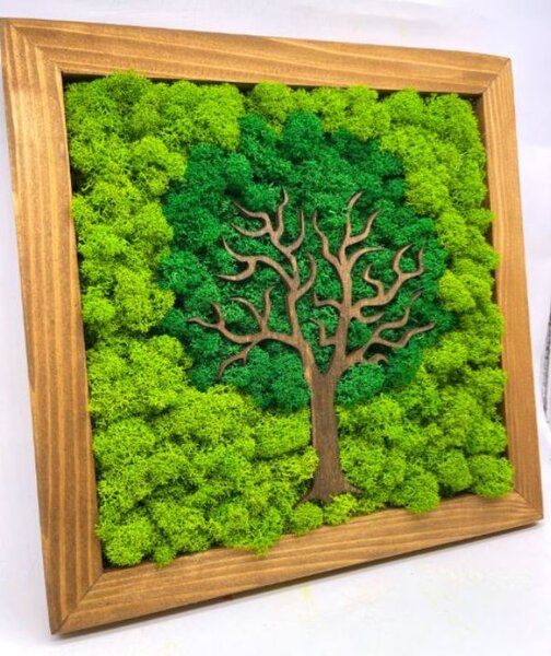 Machový obraz Strom 25x25 cm (Dizajnové machové dekorácie)