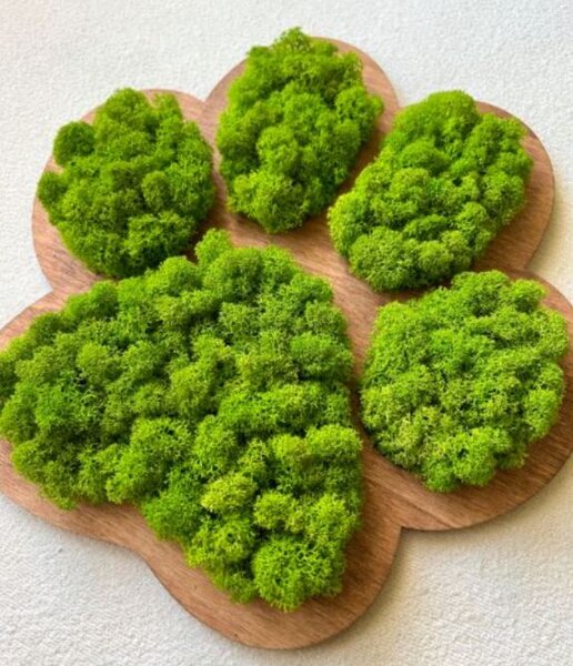 Machový obraz Labka 30 cm (Dizajnové machové dekorácie)