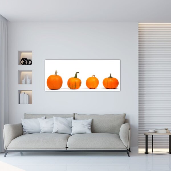 Obraz dyne (120x50 cm)
