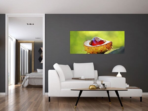 Obraz gaštanov (120x50 cm)