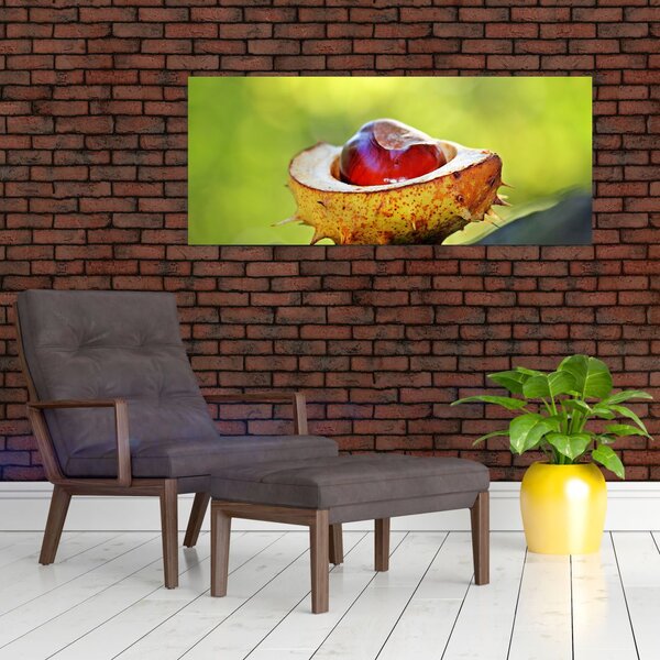 Obraz gaštanov (120x50 cm)