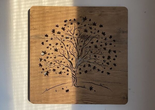 Podsvietený obraz strom Javor (Led obraz stromu 62x62 cm)
