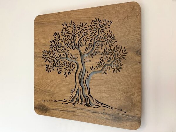 Obraz na stenu strom Olivovník (Led obraz na stenu 42x42 cm)