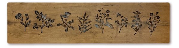 Svietiaci obraz Bylinky (Moderné obrazy do kuchyne 120x31 cm)