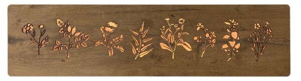 Svietiaci obraz Bylinky (Moderné obrazy do kuchyne 120x31 cm)