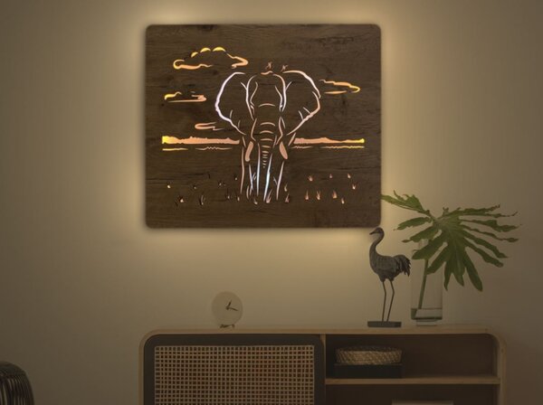 Led obraz Slon (Moderné obrazy zvierat s led podsvietením 65x55 cm)