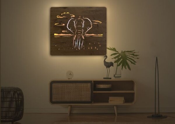 Led obraz Slon (Moderné obrazy zvierat s led podsvietením 65x55 cm)