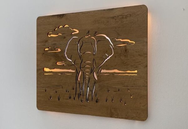 Led obraz Slon (Moderné obrazy zvierat s led podsvietením 65x55 cm)