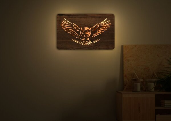 Led obraz Sova (Moderné obrazy sovy s led podsvietením 62x38 cm)