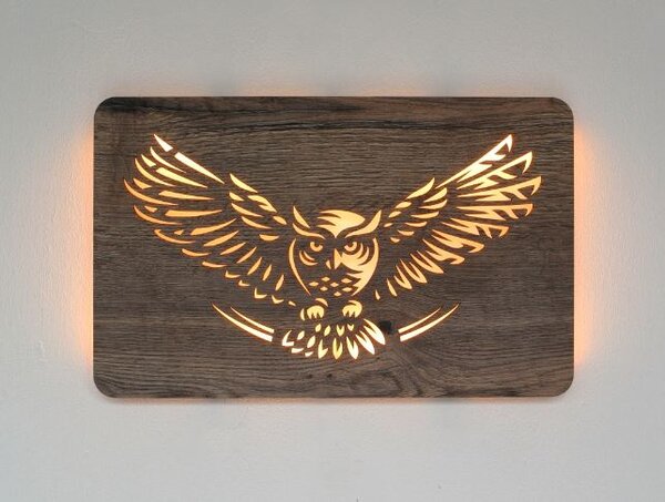 Led obraz Sova (Moderné obrazy sovy s led podsvietením 62x38 cm)