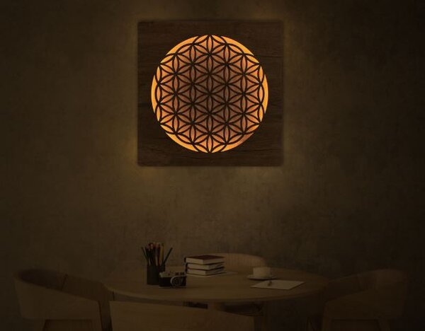 Obraz Kvet života s led podsvietením (Led dizajnový obraz na stenu 62x62 cm)
