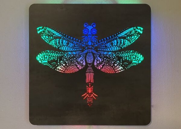 Led obraz Vážka RGB (Moderné obrazy zvierat s led podsvietením 62x62 cm)