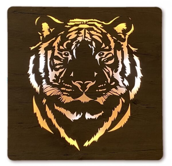 Led obraz Tiger (Moderné obrazy zvierat s led podsvietením 62x62 cm)