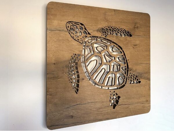 Led obraz Korytnačka RGBW (Moderné obrazy zvierat s led podsvietením 62x62 cm)
