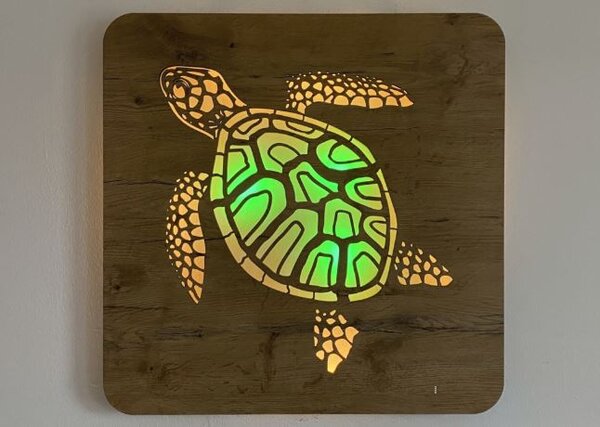 Led obraz Korytnačka RGBW (Moderné obrazy zvierat s led podsvietením 62x62 cm)