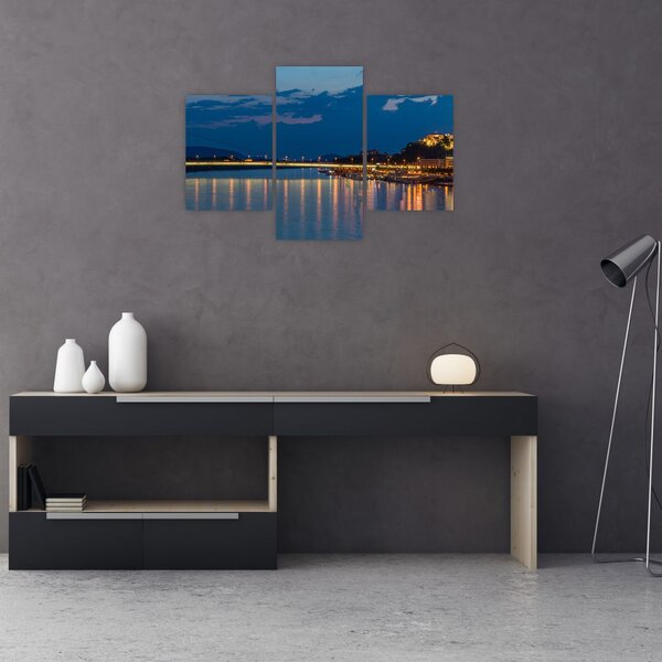 Obraz Bratislavy s hradom (90x60 cm)