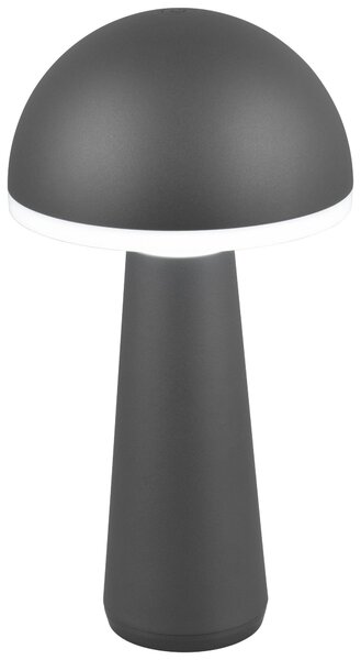 VONKAJŠIE LED SVIETIDLO, 16/31 cm - Interiérové svietidlá