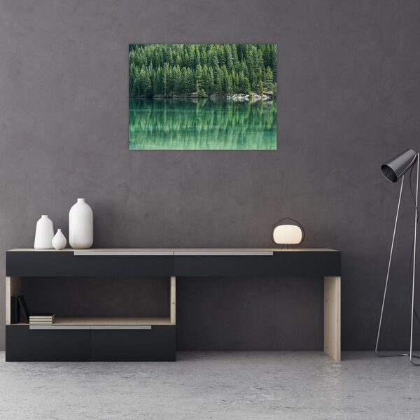 Obraz - Ihličnany pri jazere (70x50 cm)