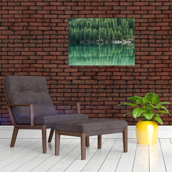 Obraz - Ihličnany pri jazere (70x50 cm)