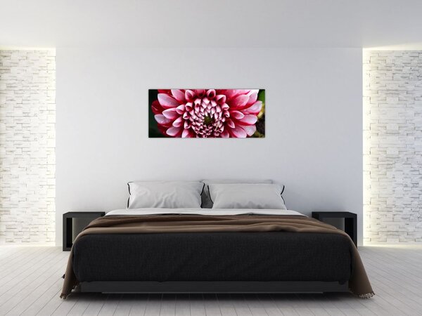 Obraz ružovej Dahlie (120x50 cm)