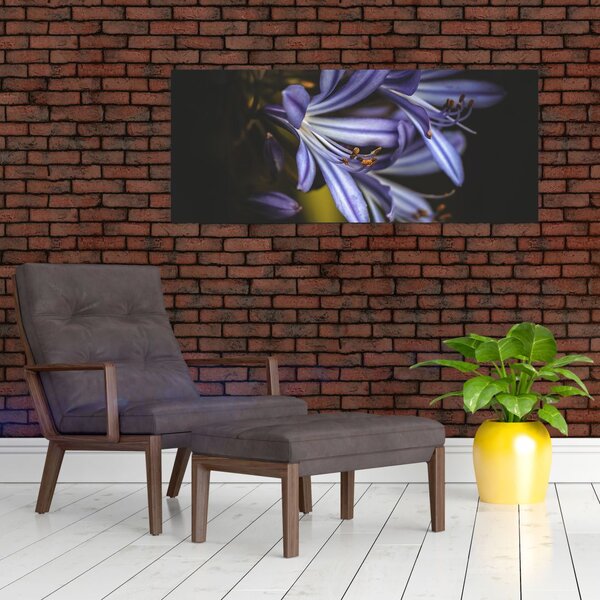 Obraz - Lila (120x50 cm)