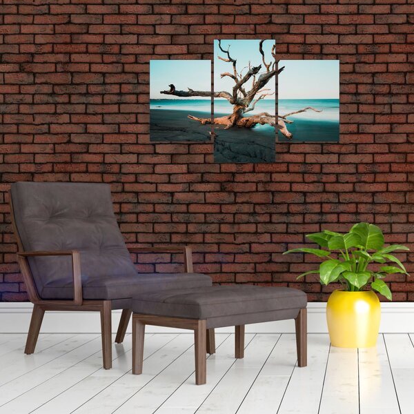 Obraz - Vyplavenie na pláži (90x60 cm)