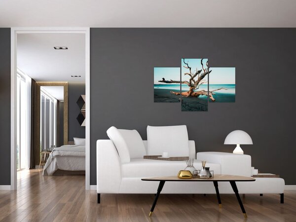Obraz - Vyplavenie na pláži (90x60 cm)