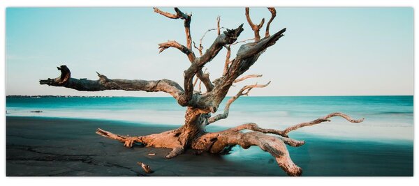 Obraz - Vyplavenie na pláži (120x50 cm)