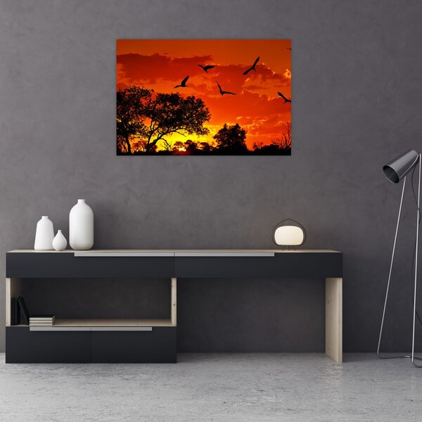 Obraz vtákov pri západe slnka (90x60 cm)