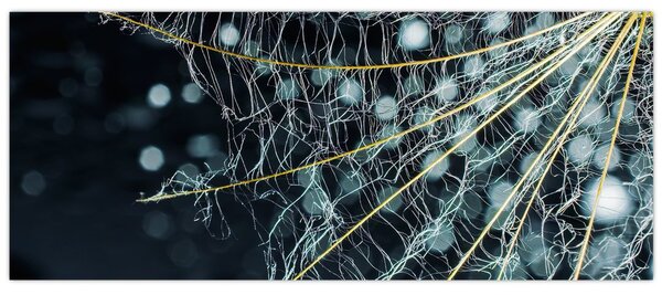 Obraz -Kvet s pavučinou (120x50 cm)