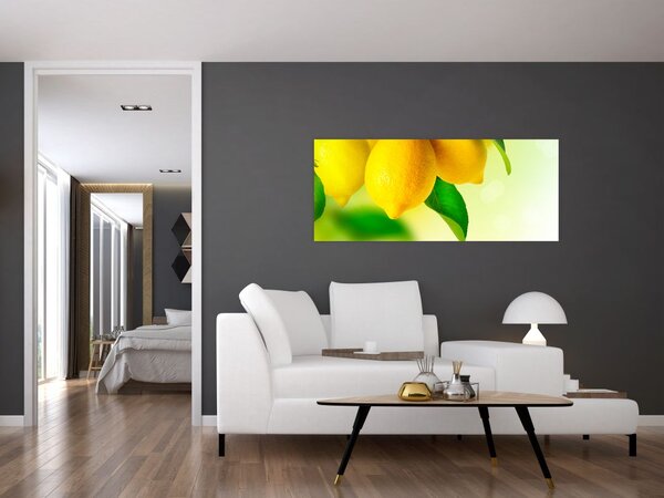 Obraz citrónov (120x50 cm)