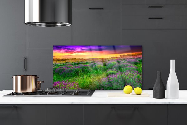 Nástenný panel  Lúka príroda 140x70 cm