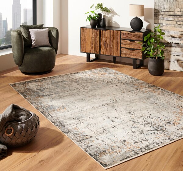 TKANÝ KOBEREC, 200/290 cm sivá, viacfarebná Dieter Knoll - Koberce