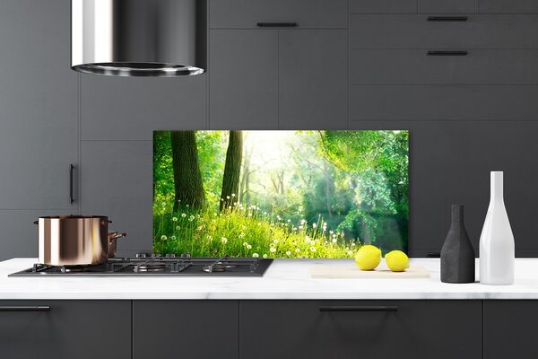 Sklenený obklad Do kuchyne Lúka príroda rastlina 120x60 cm