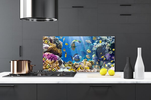 Nástenný panel  Koralový útes príroda 120x60 cm