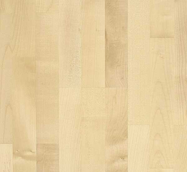 PARADOR Classic 3060 Natur Javor európsky 1518122 - 3.66 m2
