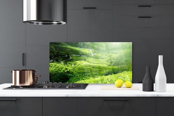 Nástenný panel  Lúka príroda 120x60 cm