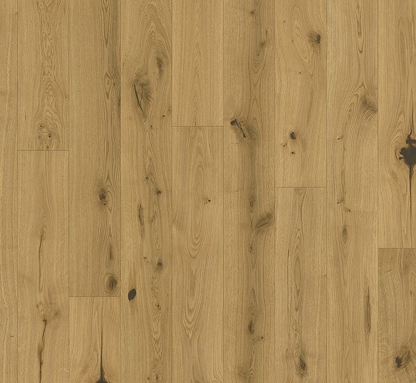 PARADOR Basic 11-5 Character Dub chianti prírodný 1748897 - 4.07 m2